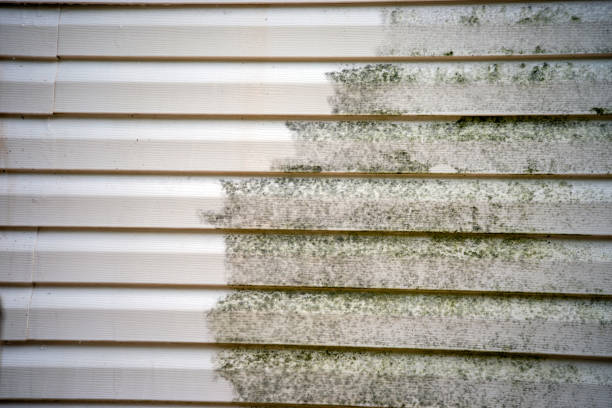 Best Storm Damage Siding Repair  in Maryland City, MD