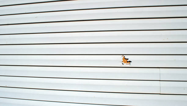 Affordable siding repair and maintenance services in Maryland City, MD