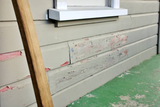 Best Siding Removal and Disposal  in Maryland City, MD